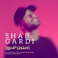 دانلود آهنگ یاسین غروی  شبگردی